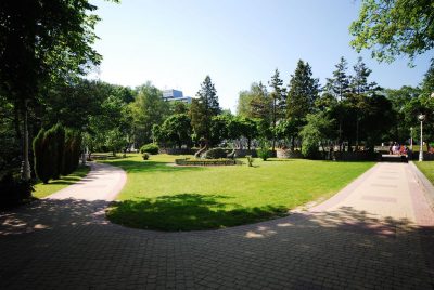 Miasto - Krynica